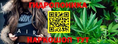 гидропоника Тулун