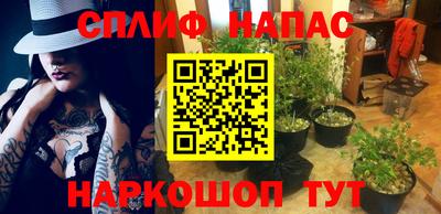 эйфоретик Тула