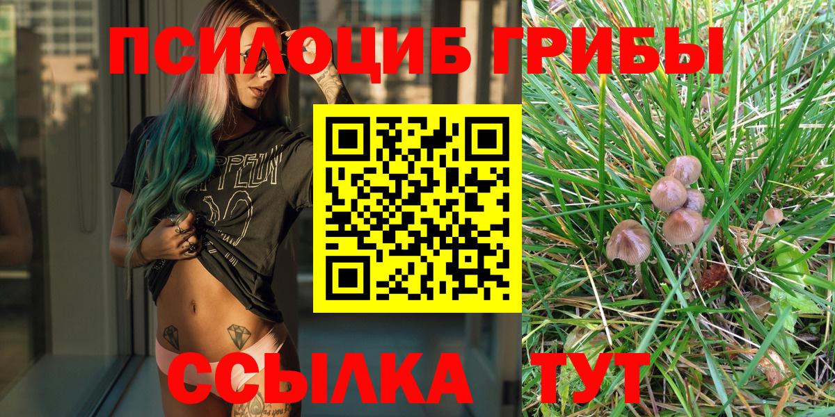Галлюциногенные грибы мухоморы Асино