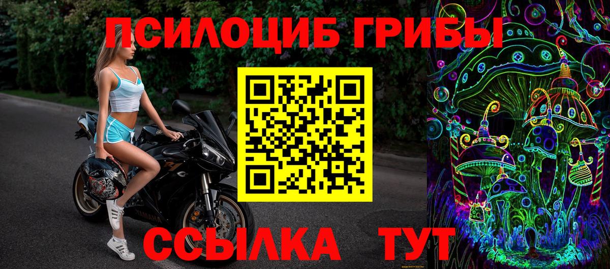 Псилоцибиновые грибы Cubensis  Галлюциногенные грибы мицелий  где купить наркотик  Вход с VPN  Асино 